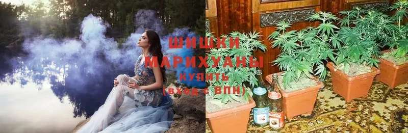 Шишки марихуана план  Челябинск 